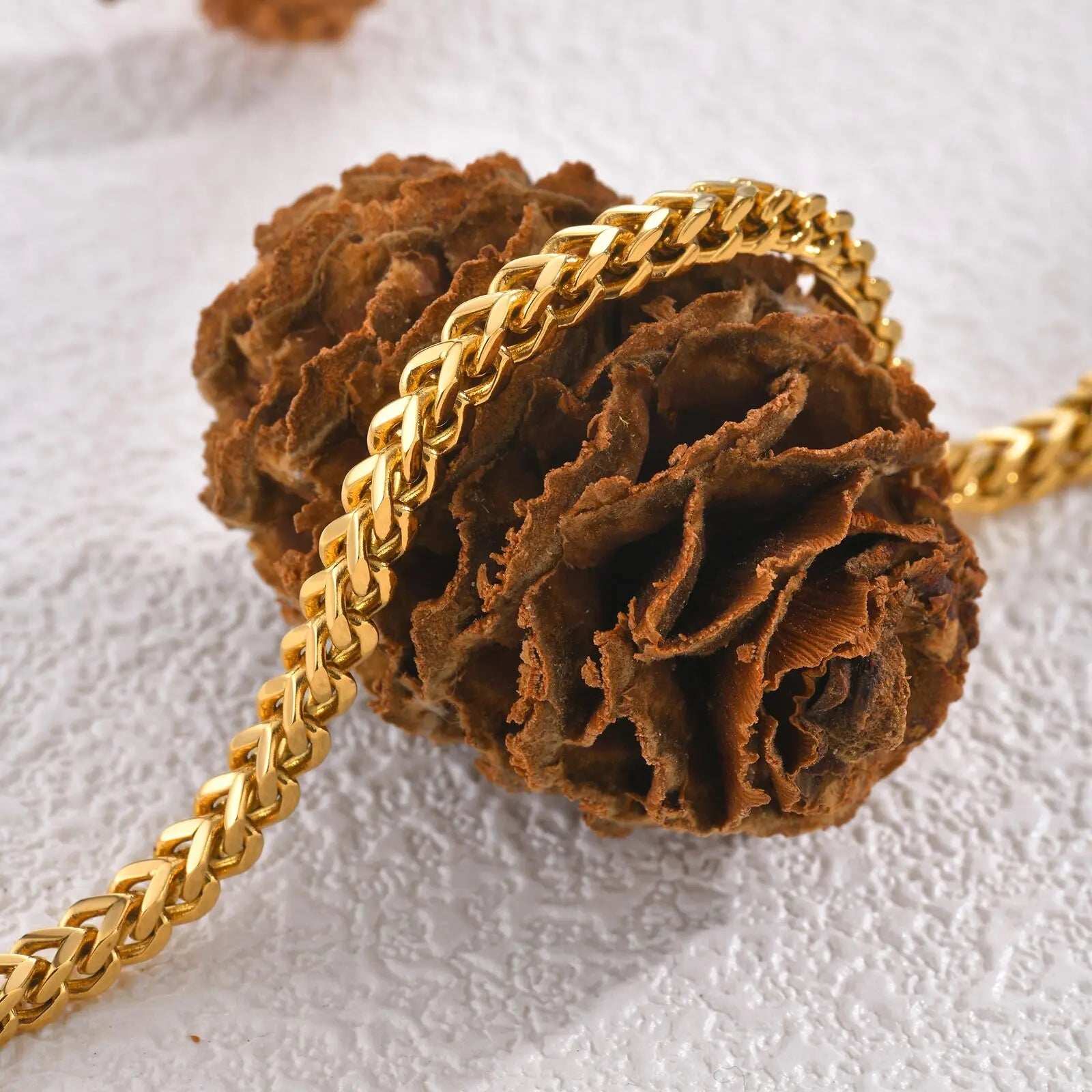 Square Link Bracelet on Pinecone on white background
