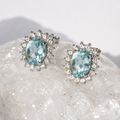 Aurelia Starlight Halo Earrings